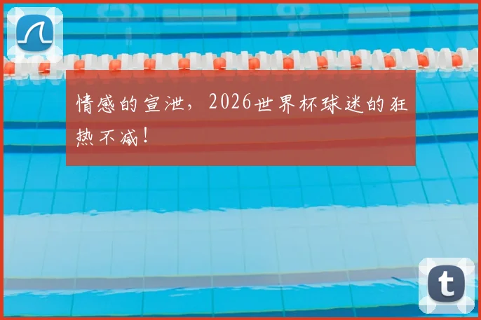 情感的宣泄,2026世界杯球迷的狂热不减!