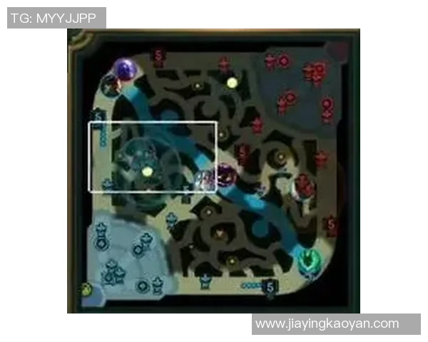 赛后复盘分析FPX与WE对决中的战术运用与技术细节探讨