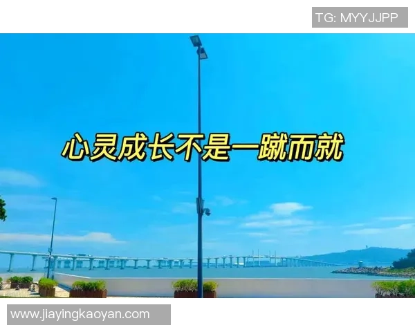 景菡一的成长之路与心灵探索：在艺术与生活中寻找自我价值